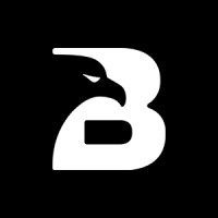 BENSA Protective Services logo - Similar company to Matilan Security Services Gmbh