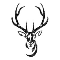 The Exmoor Carbon Project