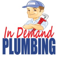 In Demand Plumbing logo - Similar company to Benjamin Franklin Plumbing Of The Triangle