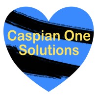 Caspian One Solutions logo - Similar company to Caspian One