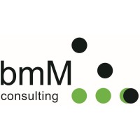 bmM Consulting logo - Similar company to Brain Code