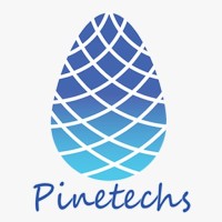 Pinetechs Information Technology logo - Similar company to Gray Information Technologies  Inc.