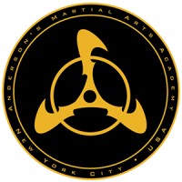 Anderson’s Martial Arts Academy (AMAA) logo - Similar company to Violent Designs