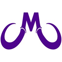 Mammoth Roofs logo - Similar company to Proco Roofing