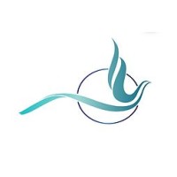 Transition Professionals logo - Similar company to Sadaka Law