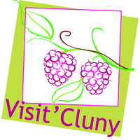 Visit'Cluny logo - Similar company to Axess Adcom