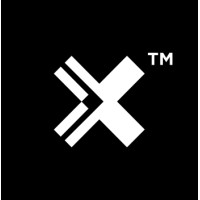 BLANX logo - Similar company to Unleashed Consulting Co.