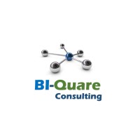 Bi-Quare Consulting S.A.S. logo - Similar company to Talent Tec