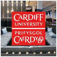Executive Education - Cardiff University Business School logo - Similar company to Data Lab For Social Good Research Group