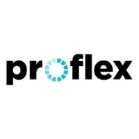 ProFlex logo - Similar company to Proflex