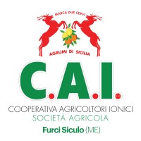 C.A.I. arl - Cooperativa Agricoltori Ionici logo - Similar company to Calabria Conserve