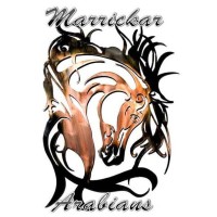 Marrickar Arabians, LLC logo - Similar company to Lagoona Marine Co.