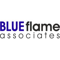 Blue Flame Associates Ltd logo - Similar company to Saevolgo