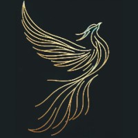 Fenix Innovation logo - Similar company to Madison.Partners