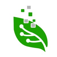 NFT Forest logo - Similar company to Decards