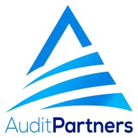 AuditPartners logo - Similar company to Audit Partners Türkiye