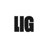 LIG TECHNOLOGIES VIETNAM CO. LTD. logo - Similar company to Lig Inc.