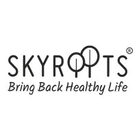 SkyRoots Ventures LLP logo - Similar company to Rocketlly