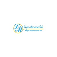 Lego Microcrédito logo - Similar company to Ibo Microcrédito