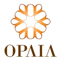 OPAIA GROUP logo - Similar company to Meumerkado