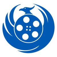 Blue Phoenix Studios logo - Similar company to Baboon Creation