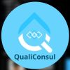 QualiConsul qualidade e consultoria Ltda logo - Similar company to Super Precinho