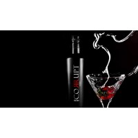 The Corrupt Drinks Company Limited logo - Similar company to Bertram Communications