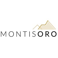 Montisoro logo - Similar company to Bevoy