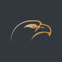 Falcon Financial Modelling logo - Similar company to Tango Partners Th