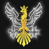 Imperial College Radiology Society logo - Similar company to Cambridge University Radiology Society (Camradsoc)