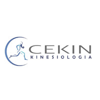 CEKIN logo - Similar company to Ceki Gmbh