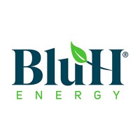 Blu H- Energy logo - Similar company to Amon Energy S.R.L