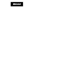 WhiteSoft logo - Similar company to Whitesoft
