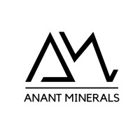 Anant Minerals logo - Similar company to Elearningonweb