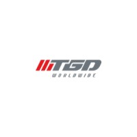 TGD Worldwide logo - Similar company to Network Supplies & Technology