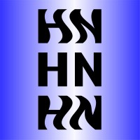 Headstart ninja logo - Similar company to Fiscalift