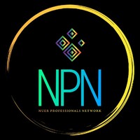 NPN logo - Similar company to Mco Health B.V.