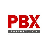 PALIBEX ALICANTE - Suribitrans logo - Similar company to Trans-Andama