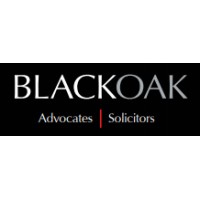 BlackOak LLC logo - Similar company to Breakpoint Llc