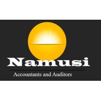 Namusi Chartered Accountants logo - Similar company to Ata Solutions