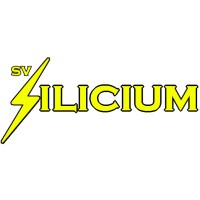 SV Silicium logo - Similar company to S.A. Watt
