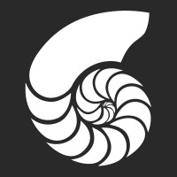 Nautech Systems logo - Similar company to Muxing