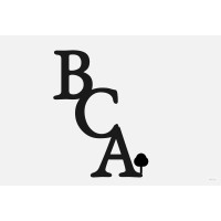 Bridge Consulting & Advising logo - Similar company to Annex Property Group