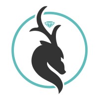 Arcus Iris logo - Similar company to One Atomic