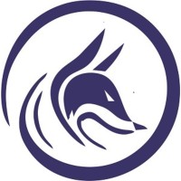 Cyberfox Security Consulting logo - Similar company to Iviry It