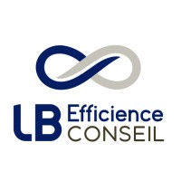 LB Efficience CONSEIL logo - Similar company to Digiket Solutions