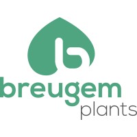 Breugem Plants B.V. logo - Similar company to Summit Gerbera