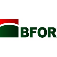 BFOR International Group logo - Similar company to Willgo.Es