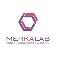 MERKALAB. Posse y Asociados SA de CV logo - Similar company to E Sustainable.Business (Esb)