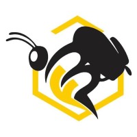 Backpackers Hive logo - Similar company to Backpackers.Com
